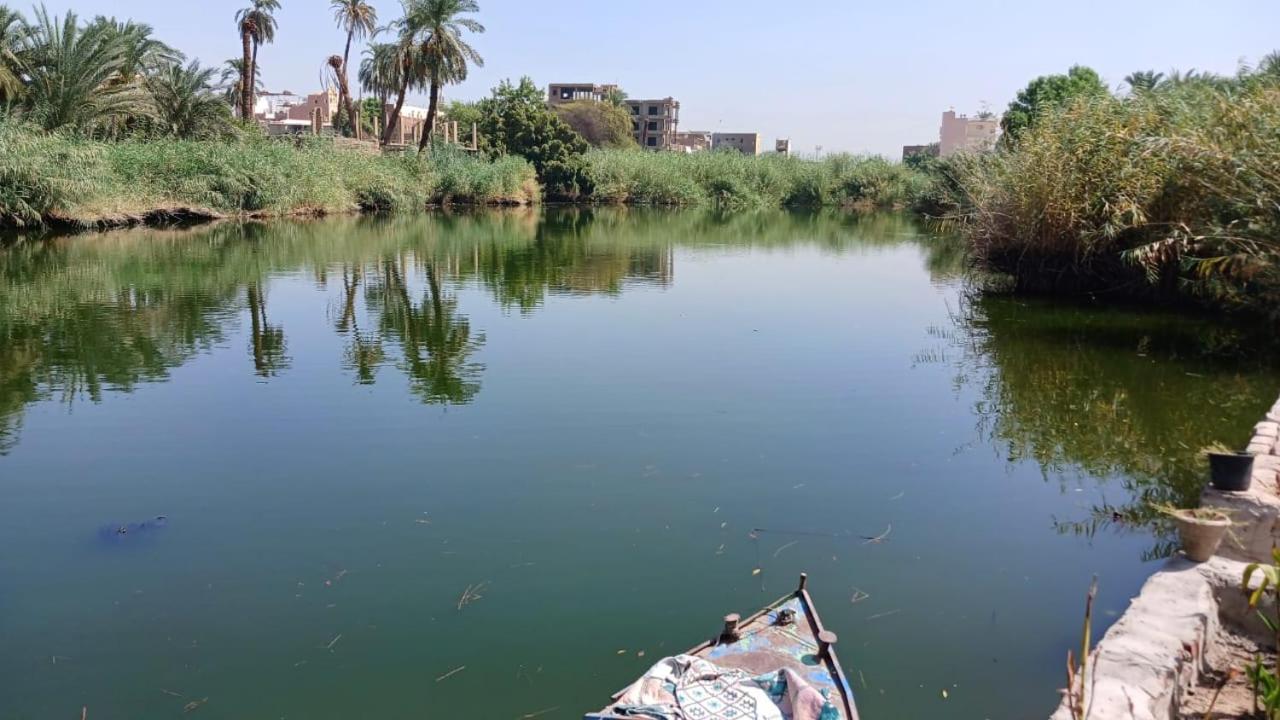 Luxor Old Nile Hotel Zewnętrze zdjęcie